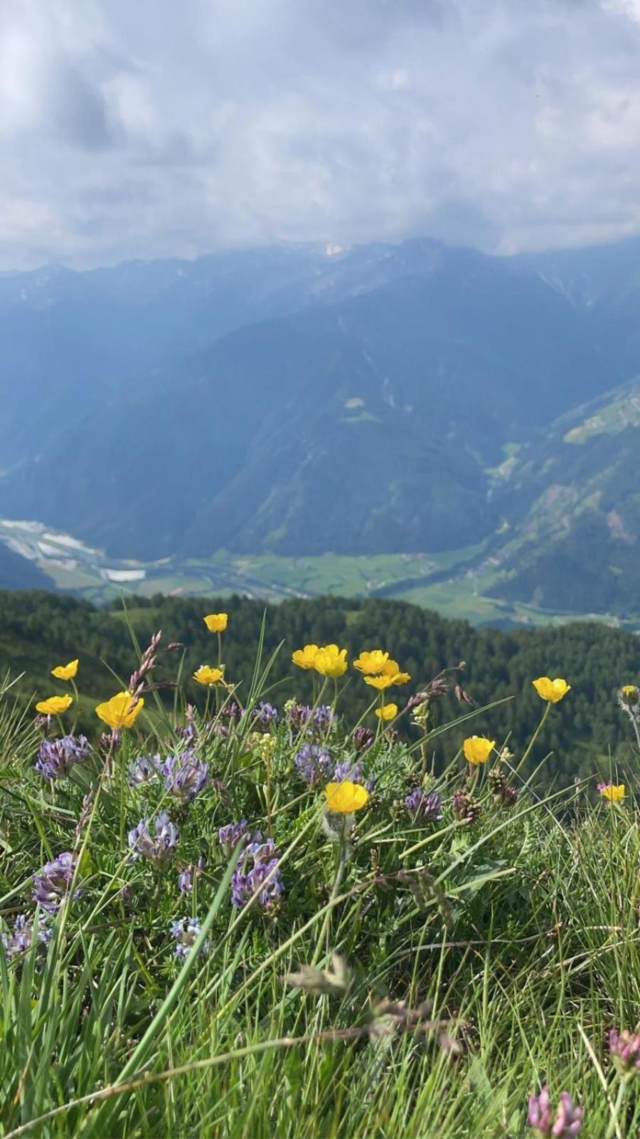 Stroblhof Lägenhet Sterzing Exteriör bild